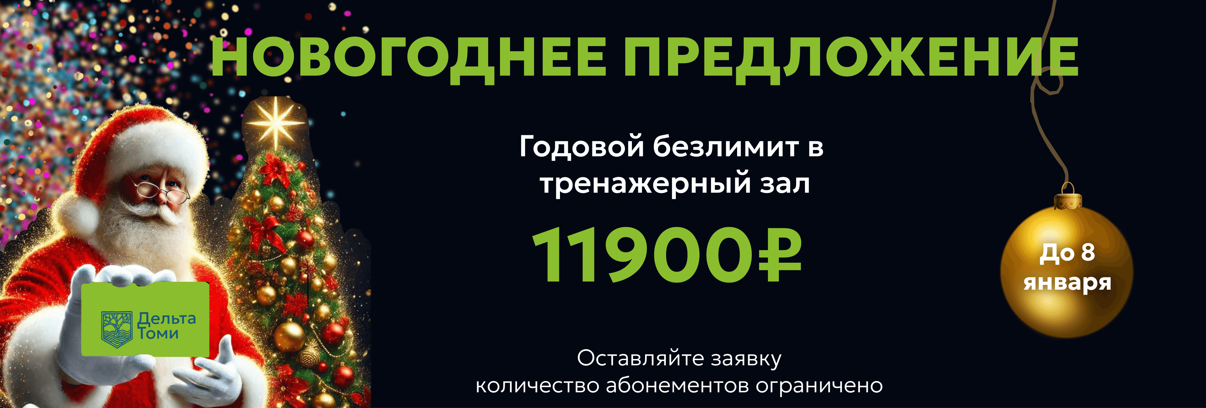 Новогоднее предложение